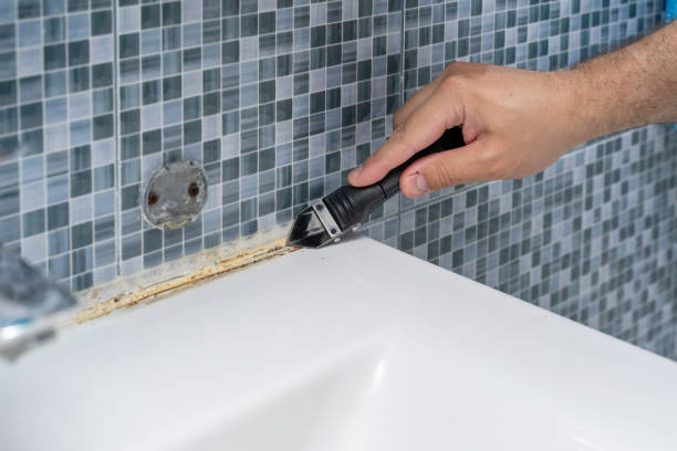Best Best Mold Removal Companies  in Rutherford, PA